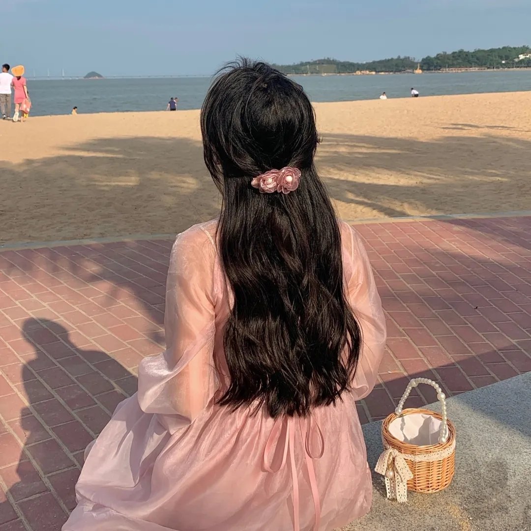 梅子鸡之味