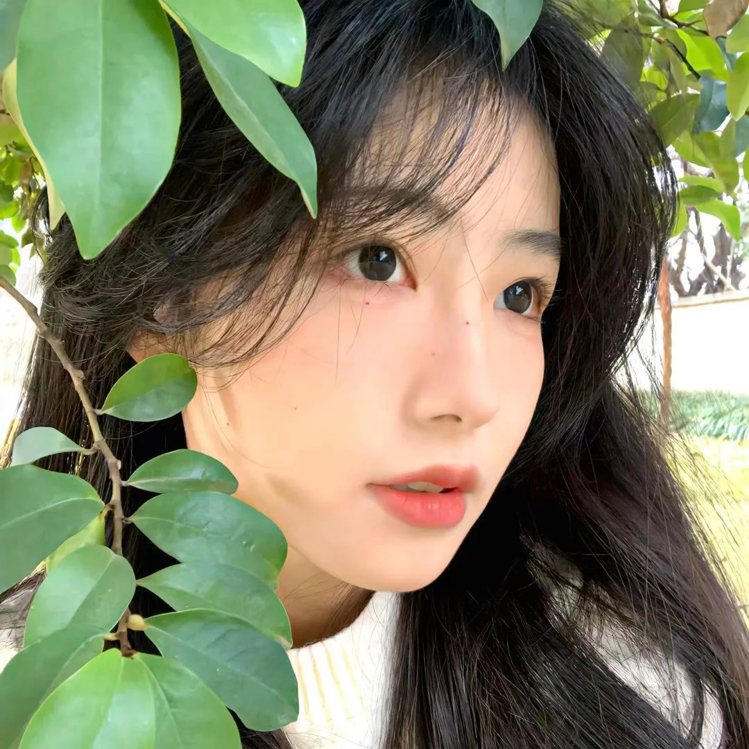 爱来不来